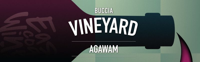 buccia-agawam-feature