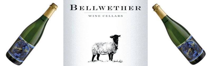 bellwether-feature